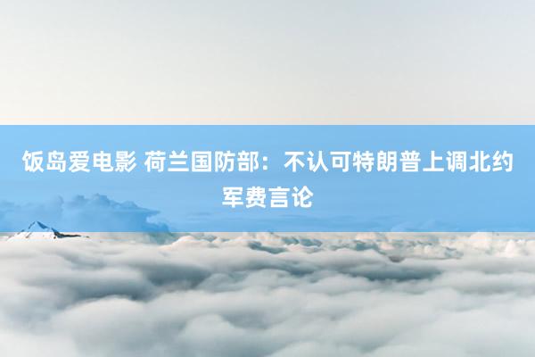 饭岛爱电影 荷兰国防部：不认可特朗普上调北约军费言论