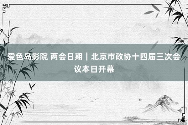 爱色岛影院 两会日期｜北京市政协十四届三次会议本日开幕