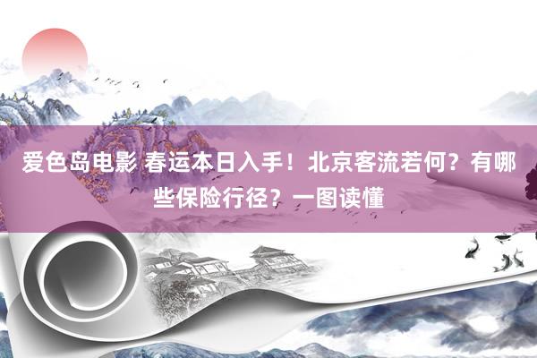 爱色岛电影 春运本日入手！北京客流若何？有哪些保险行径？一图读懂