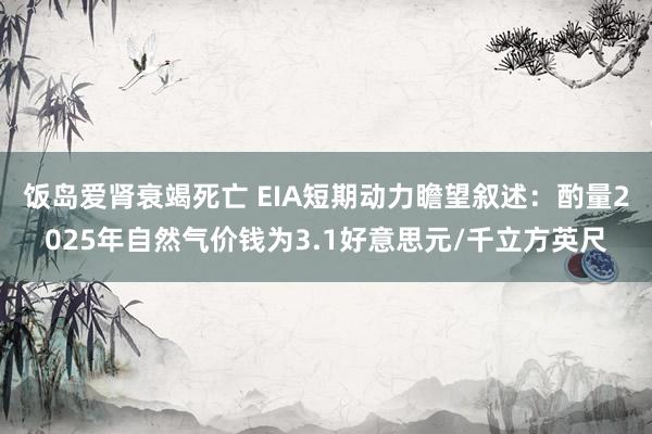 饭岛爱肾衰竭死亡 EIA短期动力瞻望叙述：酌量2025年自然气价钱为3.1好意思元/千立方英尺