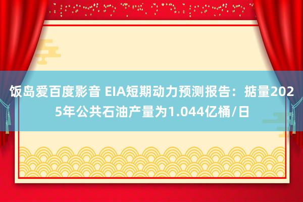 饭岛爱百度影音 EIA短期动力预测报告：掂量2025年公共石油产量为1.044亿桶/日